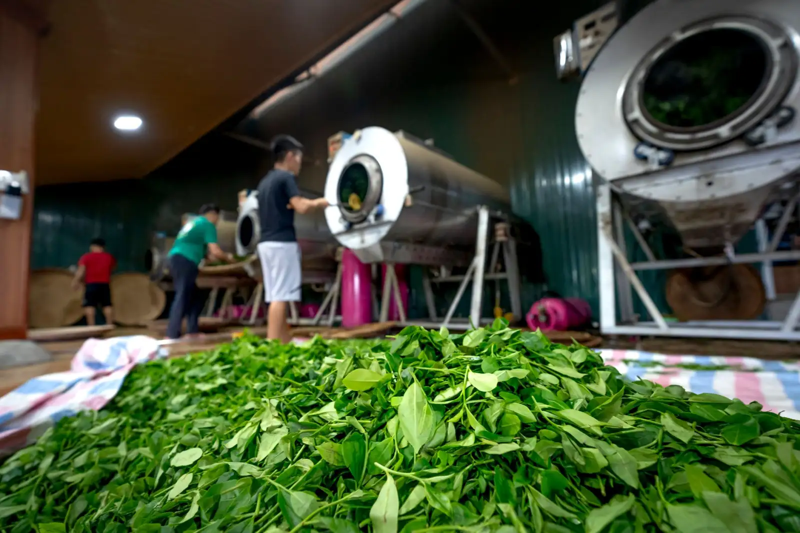 上海昆仡广告设计：中小企业品牌LOGO与VI视觉系统一体化设计流程解析