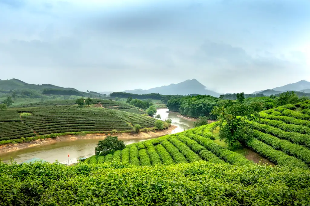 上海广告设计行业2025年门店门头招牌材质选择与安装规范解析