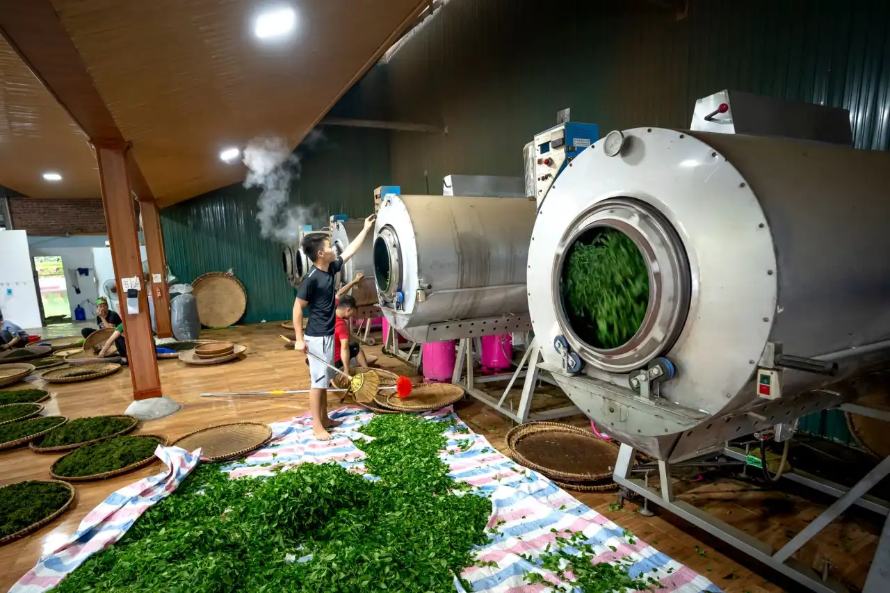 昆仡分享：企业LOGO与商标设计中的视觉统一性策略